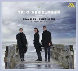 Trio Nebelmeer - Chausson - Saint-Saens Piano Trios i gruppen CD / Klassiskt,Övrigt hos Bengans Skivbutik AB (4224875)