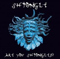 SHPONGLE - ARE YOU SHPONGLED? i gruppen VI TIPSAR / Julklappstips Vinyl hos Bengans Skivbutik AB (4225314)