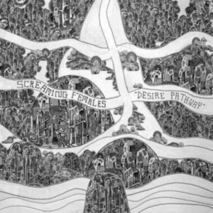 Screaming Females - Desire Pathway i gruppen CD / Hårdrock,Pop-Rock hos Bengans Skivbutik AB (4225585)