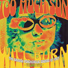 Various Artists - Too Much Sun Will Burn: The British i gruppen CD / Pop-Rock hos Bengans Skivbutik AB (4225599)