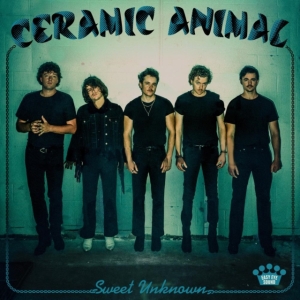 Ceramic Animal - Sweet Uknown i gruppen CD / Pop-Rock hos Bengans Skivbutik AB (4226516)