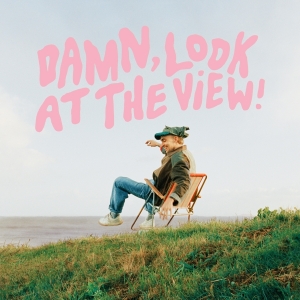 Martin Luke Brown - Damn, Look At The View! i gruppen VINYL / Pop-Rock hos Bengans Skivbutik AB (4231888)