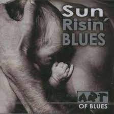 Sun Risin Blues - Broonzy B B-Mc Tell B W-Terry S Mfl i gruppen VI TIPSAR / CDSALE2303 hos Bengans Skivbutik AB (4235846)