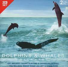 Dolphins & Whales - Pacific Playtime-Caribbean Chorale Mfl i gruppen CD / Pop hos Bengans Skivbutik AB (4237802)