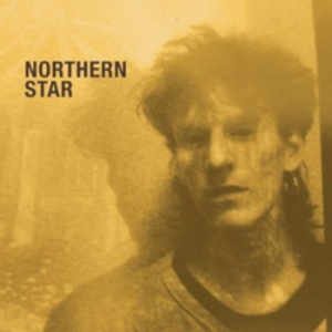 Fielding David - Northern Star i gruppen CD / Pop hos Bengans Skivbutik AB (4238176)