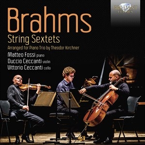 Brahms Johannes - String Sextets, Arranged For Piano i gruppen Externt_Lager / Naxoslager hos Bengans Skivbutik AB (4242242)