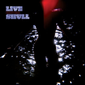 Live Skull - Party Zero i gruppen VINYL / Pop-Rock hos Bengans Skivbutik AB (4242590)
