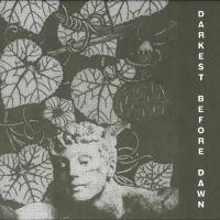 Dark Day - Darkest Before Dawn i gruppen CD / Hårdrock,Pop-Rock hos Bengans Skivbutik AB (4244379)
