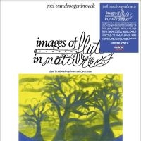 Vandroogenbroeck Joel - Images Of Flute In Nature i gruppen VINYL / Hårdrock,Pop-Rock hos Bengans Skivbutik AB (4244974)