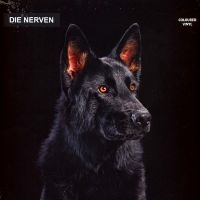 Die Nerven - Die Nerven (Transparent Orange Viny i gruppen VINYL / Pop-Rock hos Bengans Skivbutik AB (4256017)