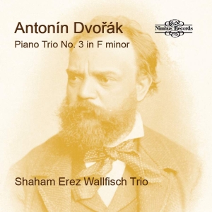 Dvorak Antonin - Piano Trio No. 3 In F Minor i gruppen VI TIPSAR / Julklappstips CD hos Bengans Skivbutik AB (4258207)