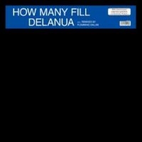 Delanua - How Many Fill i gruppen VINYL / Pop-Rock hos Bengans Skivbutik AB (4265343)