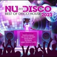 Various Artists - Nu Disco 2023 - Best Of Disco i gruppen VI TIPSAR / Julklappstips CD hos Bengans Skivbutik AB (4265438)