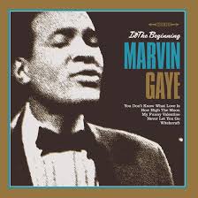 Gaye Marvin - In The Beginning (Vinyl Lp) i gruppen ÖVRIGT / -Start Jan R1 hos Bengans Skivbutik AB (4275775)