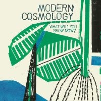 Modern Cosmology - What Will You Grow Now? i gruppen VINYL / Pop-Rock hos Bengans Skivbutik AB (4277937)