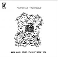 Common Grackle - Old Dog New Tricks Who This i gruppen VI TIPSAR / Julklappstips Vinyl hos Bengans Skivbutik AB (4287337)