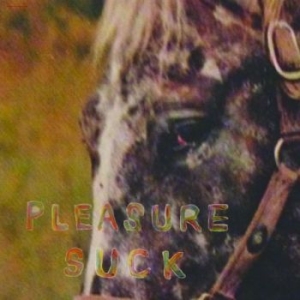 Spirit Of The Beehive - Pleasure Suck (Transparent Orange V i gruppen VI TIPSAR / Julklappstips Vinyl hos Bengans Skivbutik AB (4287751)