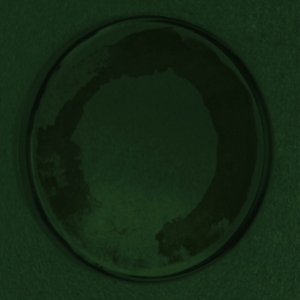 Personable - Oyster i gruppen VINYL / Pop-Rock hos Bengans Skivbutik AB (4289143)