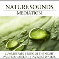 Various Artists - Nature Sounds Meditation i gruppen VI TIPSAR / Julklappstips CD hos Bengans Skivbutik AB (4290593)