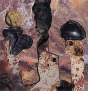 Singer Liam - Finish Him i gruppen CD / Rock hos Bengans Skivbutik AB (4294001)