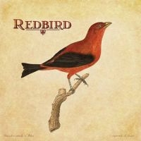 Redbird - Redbird i gruppen CD / Pop-Rock hos Bengans Skivbutik AB (4294162)