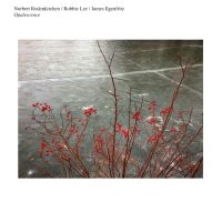 Norbert Rodenkirchen/Robbie Lee/Jam - Opalescence i gruppen VI TIPSAR / Julklappstips CD hos Bengans Skivbutik AB (4294595)