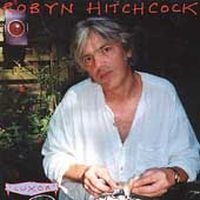 Hitchcock Robyn - Luxor i gruppen VI TIPSAR / Julklappstips CD hos Bengans Skivbutik AB (4296058)