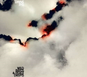 Wildbirds & Peacedrums - The Snake i gruppen CD / Pop-Rock hos Bengans Skivbutik AB (4296170)