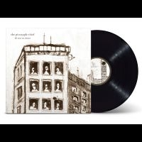 Pineapple Thief The - 10 Stories Down i gruppen VI TIPSAR / Julklappstips Vinyl hos Bengans Skivbutik AB (4296405)