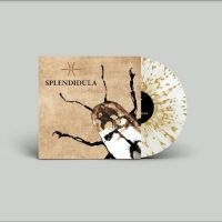 Splendidula - Splendidula (Milky Clear W/ Gold Sp i gruppen VINYL / Hårdrock hos Bengans Skivbutik AB (4298317)