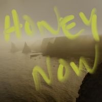 Neon Waltz - Honey Now i gruppen VI TIPSAR / Julklappstips CD hos Bengans Skivbutik AB (4298371)