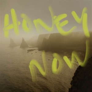 Neon Waltz - Honey Now i gruppen VINYL / Pop-Rock hos Bengans Skivbutik AB (4298517)