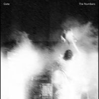 Gate - The Numbers i gruppen VI TIPSAR / Julklappstips Vinyl hos Bengans Skivbutik AB (4302266)