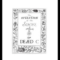 Dead C. - Operation Of The Sonne i gruppen VI TIPSAR / Julklappstips Vinyl hos Bengans Skivbutik AB (4302272)