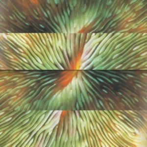 Active Surplus - Mirroring i gruppen VINYL / Pop-Rock hos Bengans Skivbutik AB (4303757)