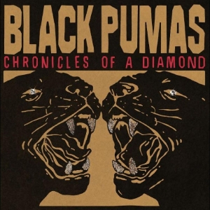 Black Pumas - Chronicles Of A Diamond i gruppen CD / Pop-Rock,RnB-Soul hos Bengans Skivbutik AB (4310929)