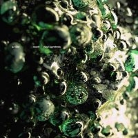 SCALER - LOAM / NEW SYMBOLS (GREEN TRANSPARE i gruppen VINYL / Pop-Rock hos Bengans Skivbutik AB (4313073)