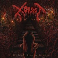 Xorsist - At The Somber Steps Of Serenity i gruppen CD / Hårdrock hos Bengans Skivbutik AB (4313522)