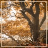 Waldgeflüster - Unter Bronzenen Kronen (Digipack) i gruppen VI TIPSAR / Julklappstips CD hos Bengans Skivbutik AB (4314255)