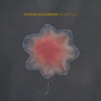 Stefan Goldmann - Acustica i gruppen CD / Pop-Rock hos Bengans Skivbutik AB (4314531)