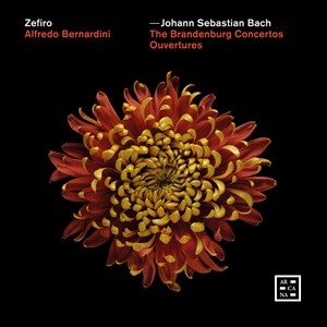 Bach Johann Sebastian - The Brandenburg Concertos - Ouvertu i gruppen VI TIPSAR / Julklappstips CD hos Bengans Skivbutik AB (4314614)