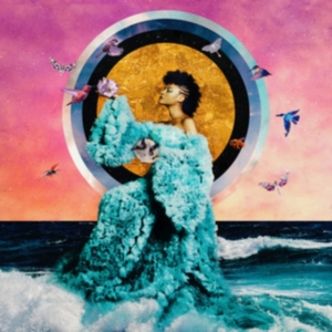 Allison Russell - The Returner i gruppen ÖVRIGT / Övrigt / aub hos Bengans Skivbutik AB (4315469)