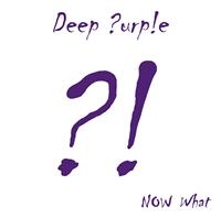 DEEP PURPLE - NOW WHAT?! i gruppen VINYL / Hårdrock hos Bengans Skivbutik AB (487031)