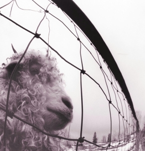 Pearl Jam - Vs. Vinyl Edition (Remastered) i gruppen VINYL / Pop-Rock hos Bengans Skivbutik AB (491716)