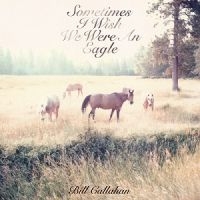 Callahan Bill - Sometimes I Wish We Were An Eagle i gruppen VINYL / Pop-Rock hos Bengans Skivbutik AB (493161)