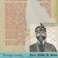 Teenage Guitar - Force Fields At Home i gruppen VI TIPSAR / Julklappstips Vinyl hos Bengans Skivbutik AB (496477)