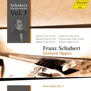 Schubert Franz - Piano Works Vol. 7 i gruppen VI TIPSAR / Julklappstips CD hos Bengans Skivbutik AB (500873)