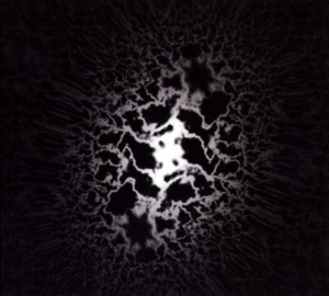 Trad Gras Och Stenar - Homeless Cats i gruppen Minishops / Träd Gräs Och Stenar hos Bengans Skivbutik AB (506909)