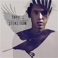 Thomas Stenström - Nåt Annat, Nån Annanstans i gruppen CD / Pop-Rock,Svensk Musik hos Bengans Skivbutik AB (510759)