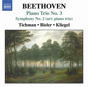 Beethoven - Piano Trio No 3 i gruppen VI TIPSAR / Julklappstips CD hos Bengans Skivbutik AB (515448)